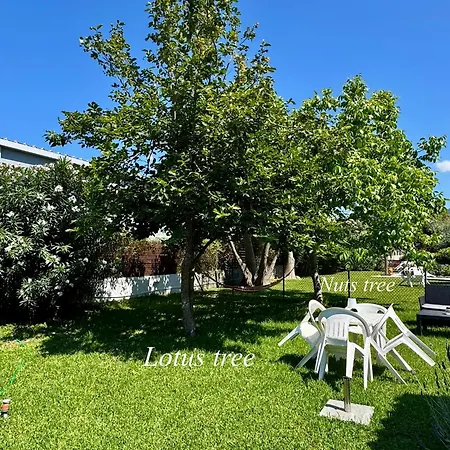 Sungate Almiros Beach