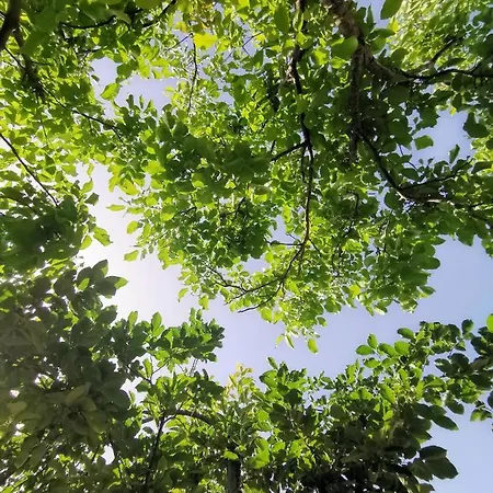 Sungate * Almiros Beach