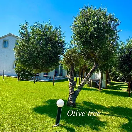 Sungate 公寓 Almiros Beach